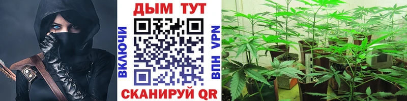 даркнет официальный сайт  Зеленогорск  Канабис SATIVA & INDICA  где найти наркотики 